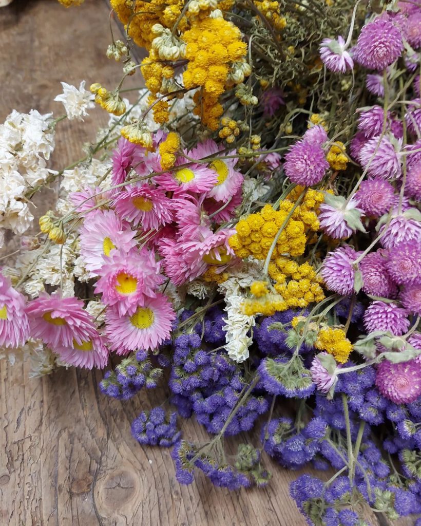 Droogbloemen