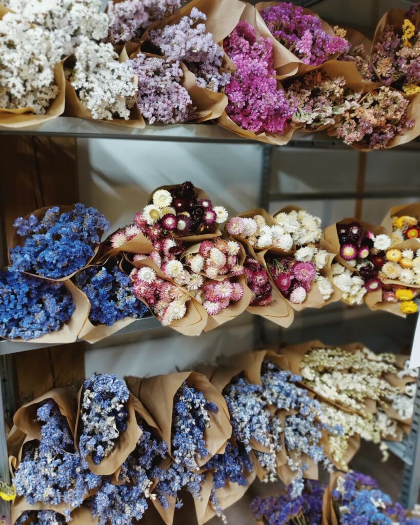 Onze ruime assortiment droogbloemen hebben wij gepresenteerd in ons bloemenrek zodat je in één overzicht ons mooie assortiment ziet.