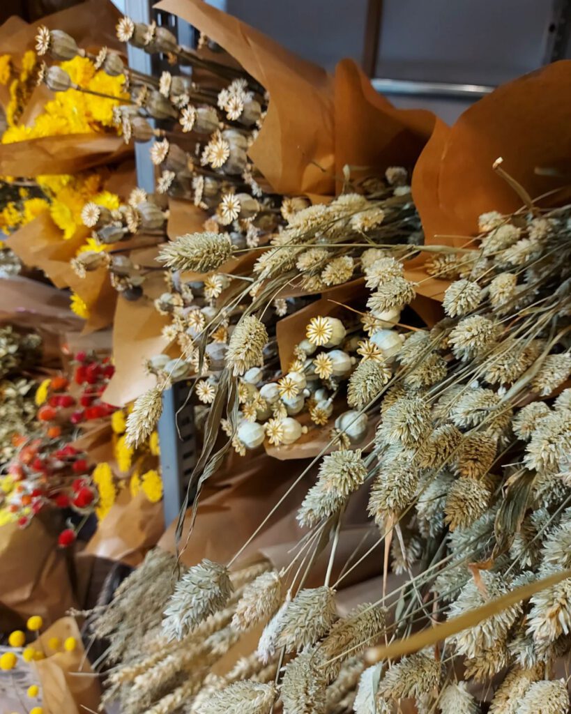 Droogbloem bossen in onze winkel.